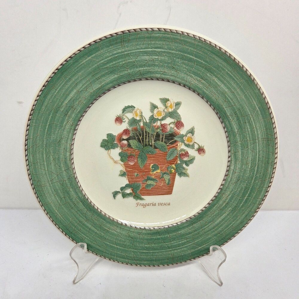Wedgwood Sarah's Garden Fragaria Vesca Green 8 1/4" Salad Plate VGC 1997-2006